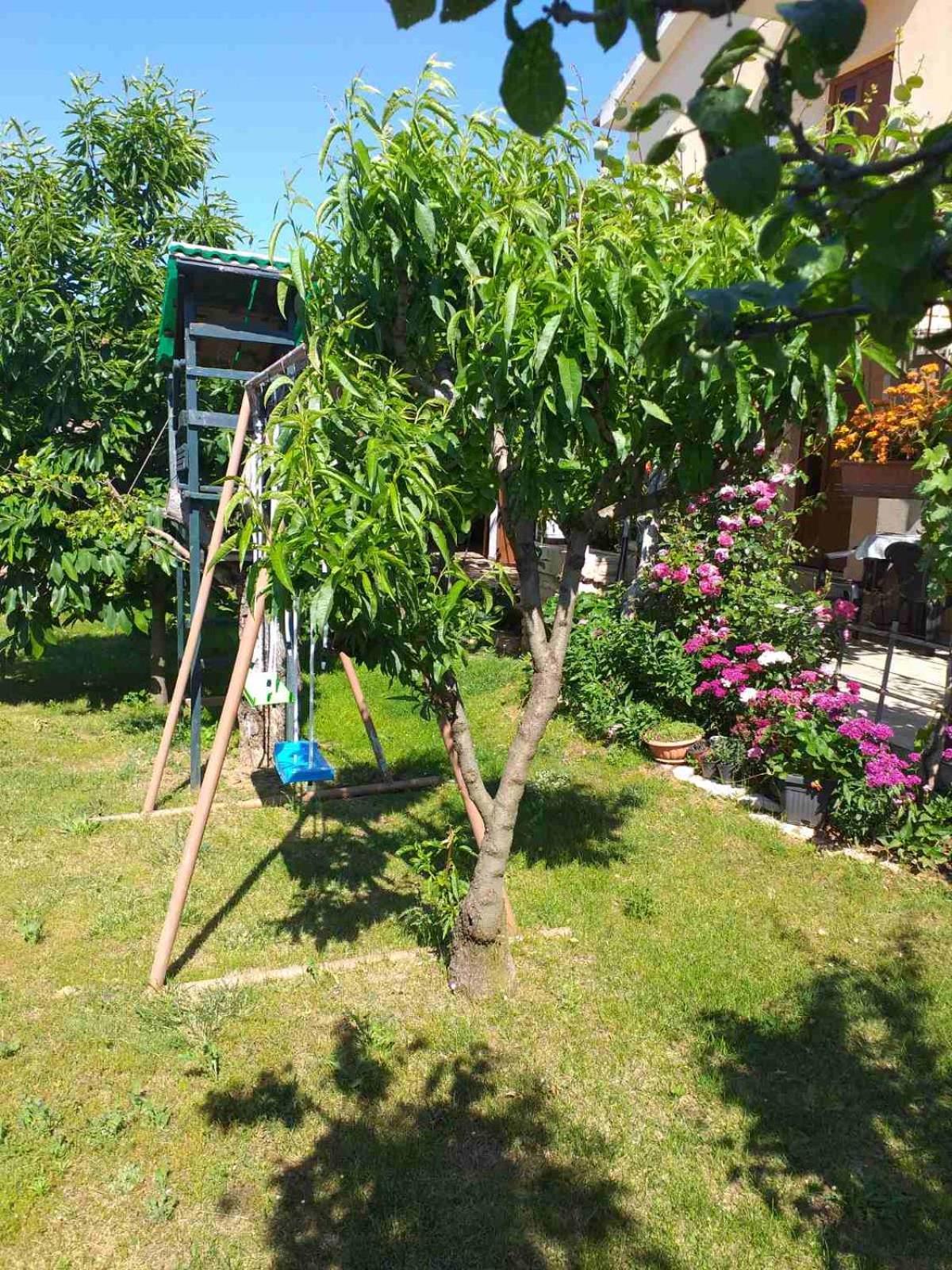 Lori Daire Pula Dış mekan fotoğraf